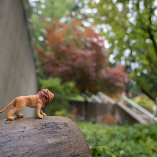 Nikon Z 6II